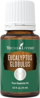 Eucalyptus