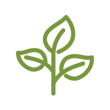 Plant Icon